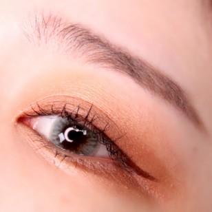 LENSME Megalook Fallin Gray(月拋)